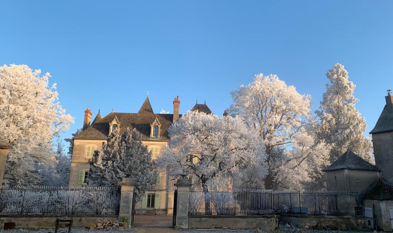 Chateau Du Mauny, Gites Et Chambres D'Hotes En Bourgogne Rosey Exterior foto